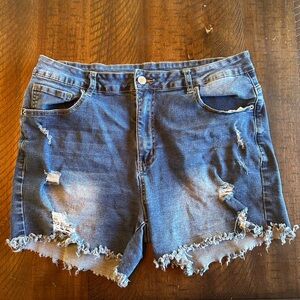 Amazon Blue Distressed Jean Shorts